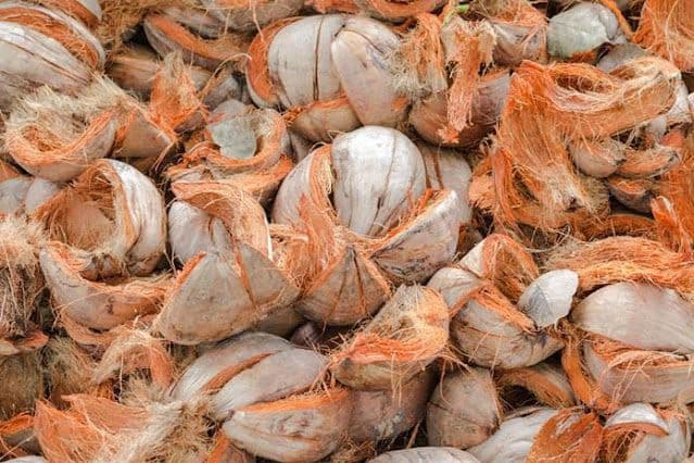 Serabut Kelapa